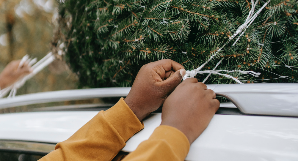 Hands tying a rope on a car's top rack to secure a tree to the roof of the car.