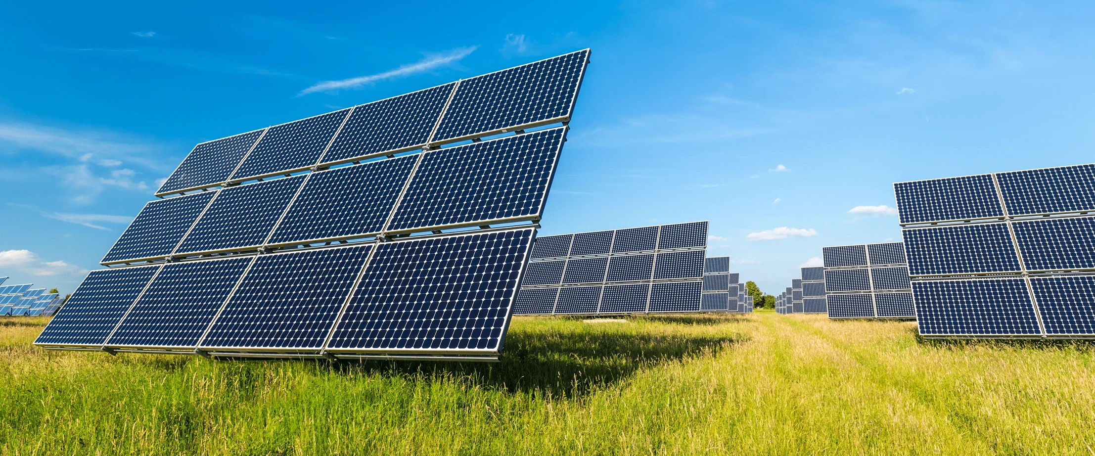 Solar panels in a field.